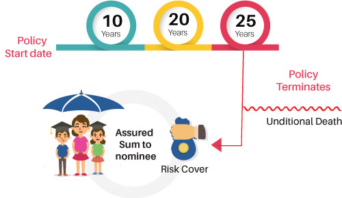 types of life insurance